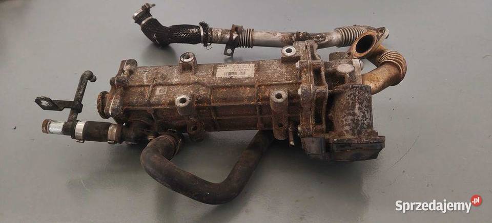 Chlodnica Spalin EGR Fiat Ducato 30 HDI Jumper dolnośląskie