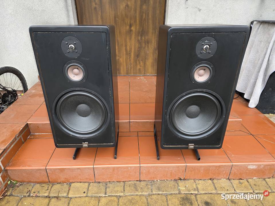 mega bas canton ct1000 20hz30khz Chełm Śląski