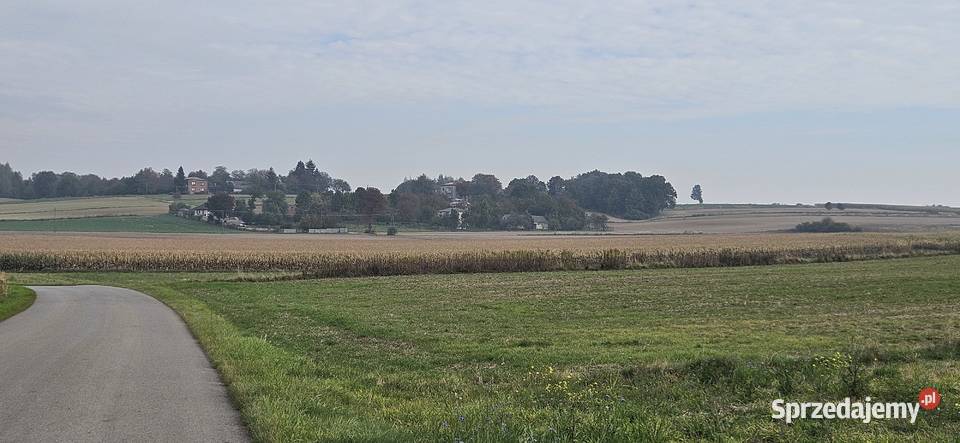 Siedlisko Dom murowane budynki pod uprawy Karkówka