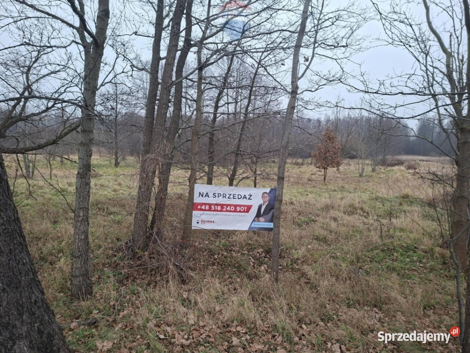 DZIAŁKI ROLNE NA SPRZEDAŻ Sprzedaż