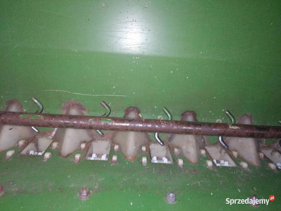 Siewnik amazone Krzecze