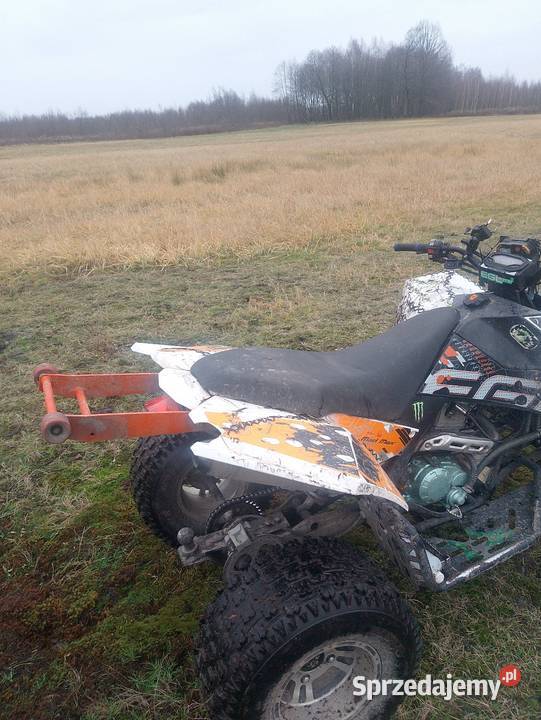 Sprzedam quada egl 250 mad maxx Nowa Dęba