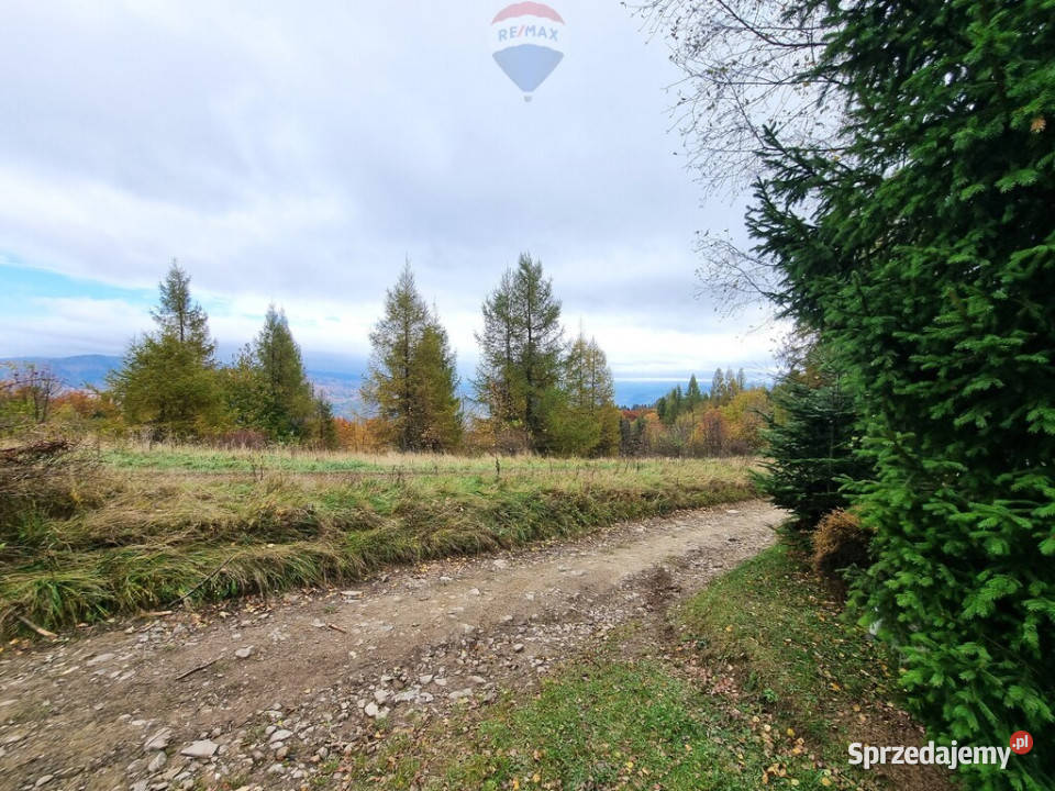 Domek rekreacyjny Krościenko Dunajcem Liczba pokoi 2 Krościenko nad Dunajcem sprzedam