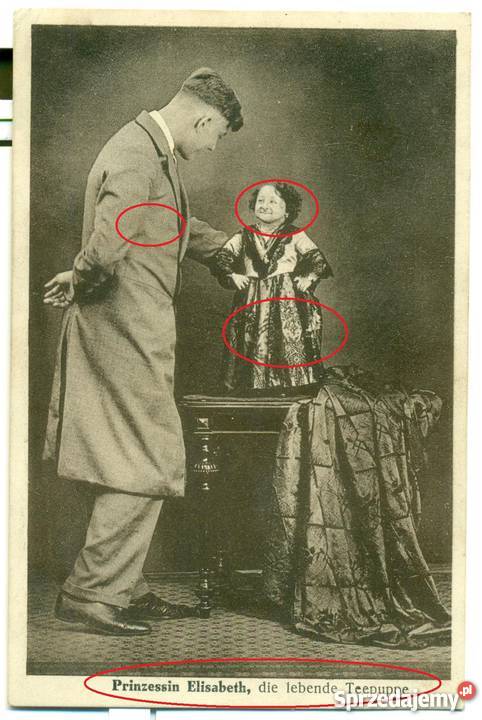 Prinzessin Elisabeth die lebende Teepuppe sprzedam