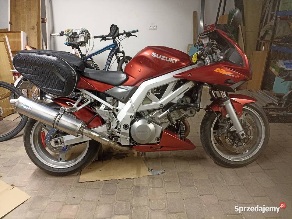 Suzuki SV 1000 Śrem