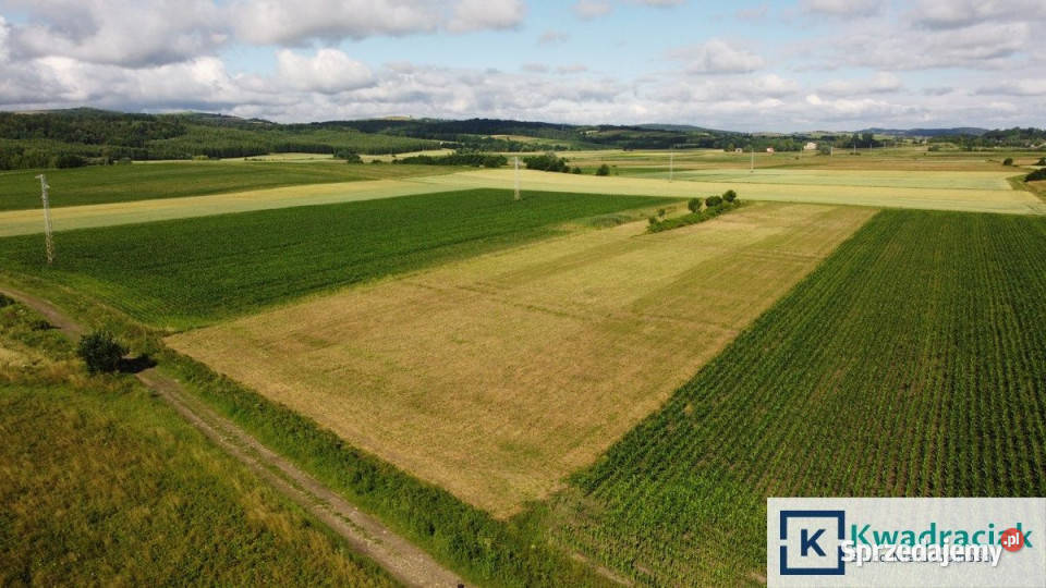 sprzedaży działki 14528m2 Długie 63m