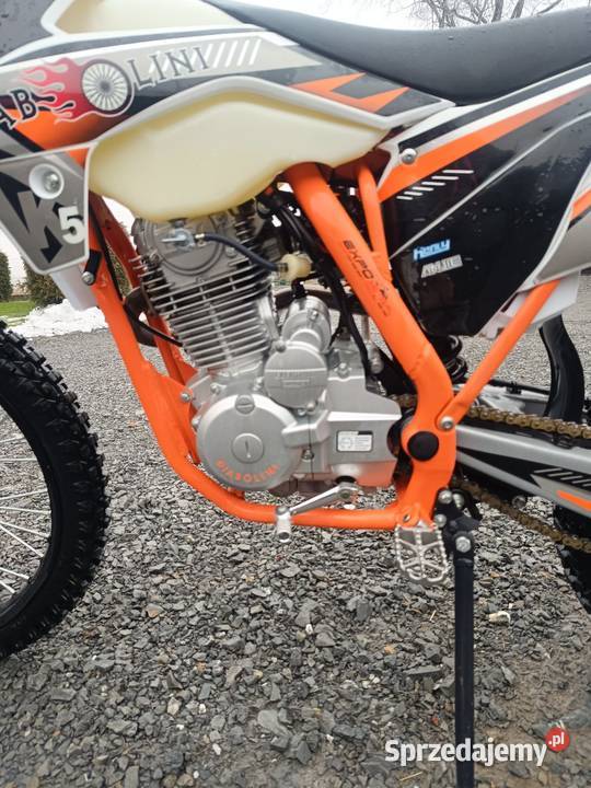 Diabolini k 5 250 małopolskie Jabłonka sprzedam