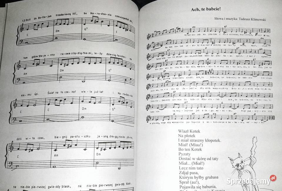 Korelacja muzyki z innymi przedmiotami Tomasz miękka Chełm