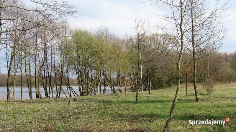 działkę rekreacyjnobudowlaną JEZIOREM 099 ha we Rydzewo