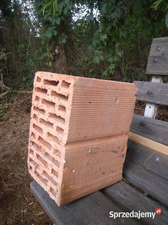 Bloczki ceramiczne pustaki 31x22x19