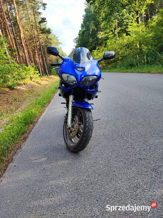 Suzuki SV 650 nieuszkodzony świętokrzyskie Końskie sprzedam