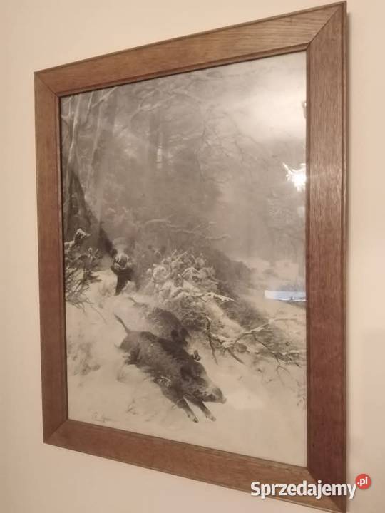 Obraz z Historią Gorbersdorf Dziki