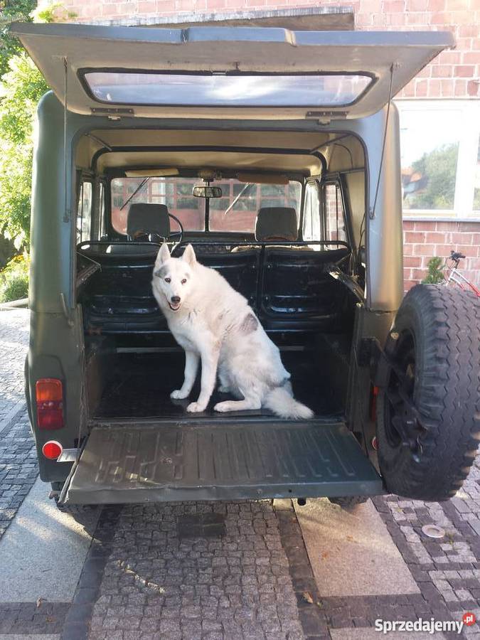 UAZ 315 w stanie Lublin
