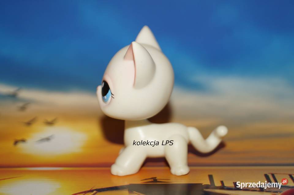 LPS Littlest Pet Shop shorthair 64 oryginalny Rybnik