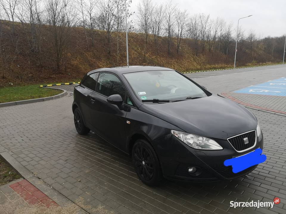 Seat ibiza 6j