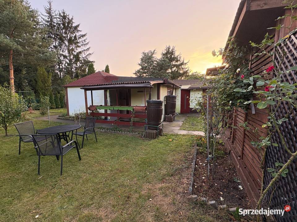 Działka ROD Mokotów Aleja Niepodległości 113115 mazowieckie Warszawa