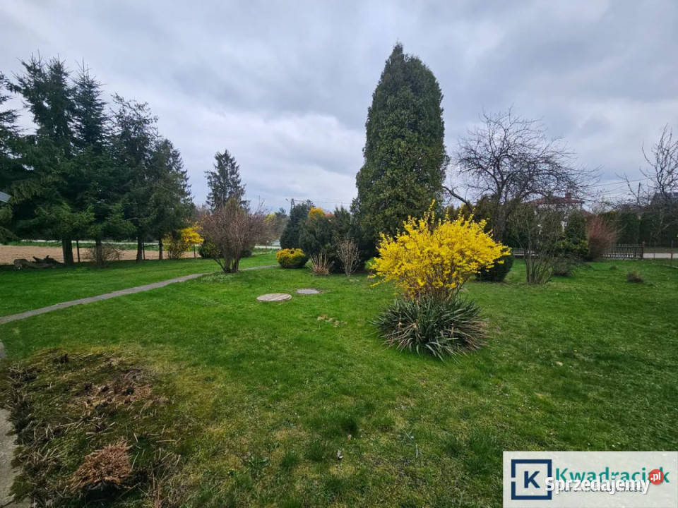 Ogłoszenie dom wolnostojący Brzezówka 130m2 2300zł/m2 sprzedam