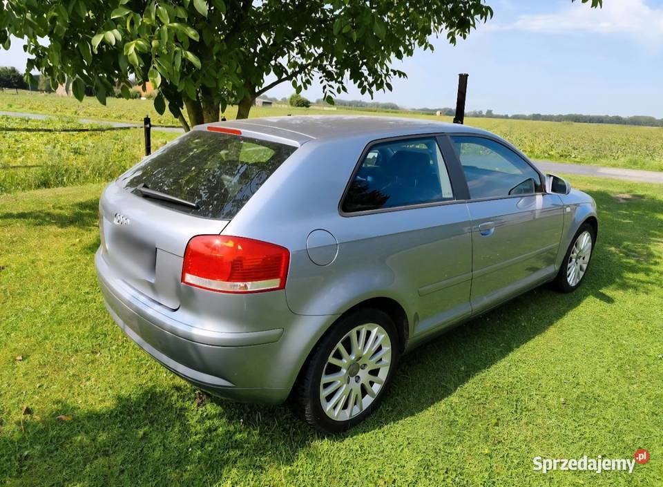 Audi A3 Typ 8P Ambition Rok produkcji 2006 Lubartów