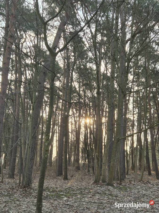 Mieszkanie 3 pokoje plaża las jezioro warmińsko-mazurskie Ostróda