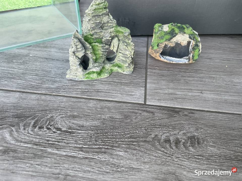 Akwarium 10l pomorskie Gdańsk