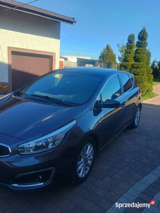 Kia Ceed Rok produkcji 2015 Truskolasy