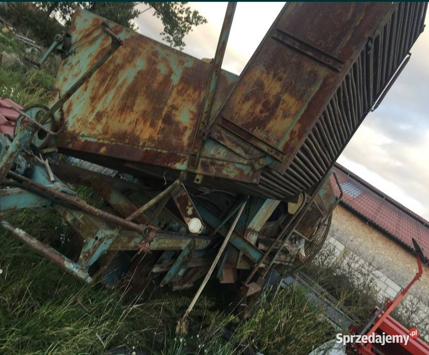 Kombajn do Ziemniaków Anna 644 nieuszkodzony Do ziemniaków i warzyw Odolanów