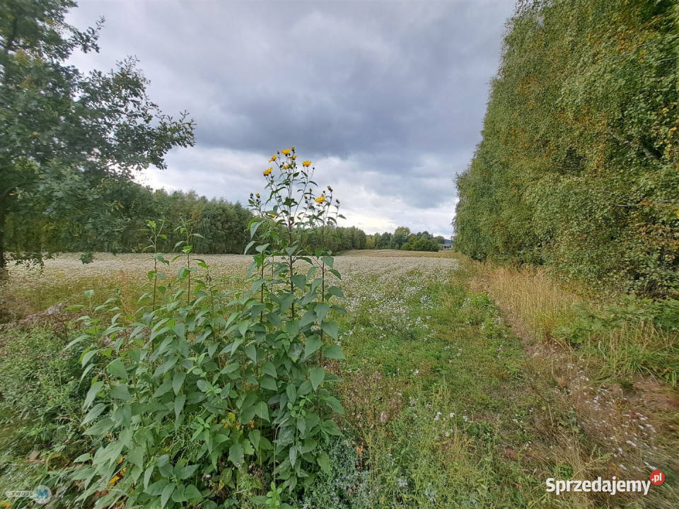 Ogłoszenie grunt 8879m2 Łagów