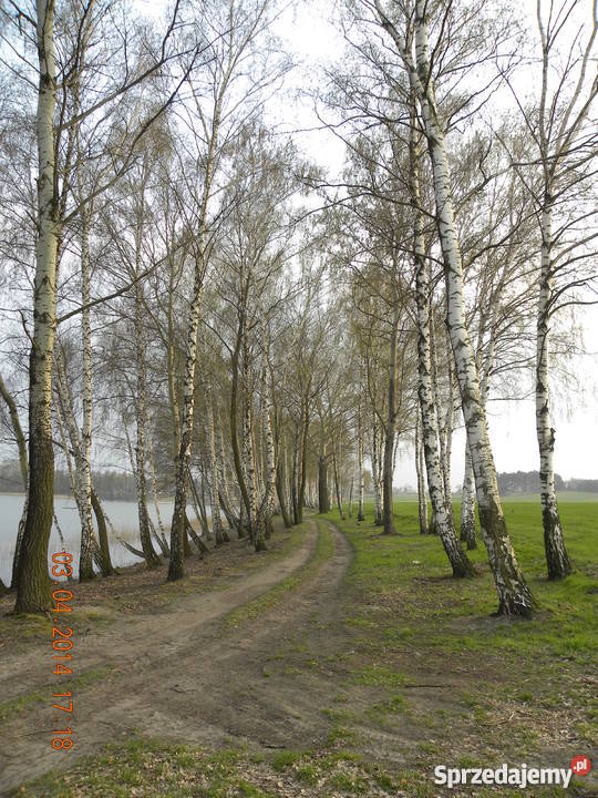 2piękne działki z dostępem do jeziora Grunty i działki Konin sprzedam
