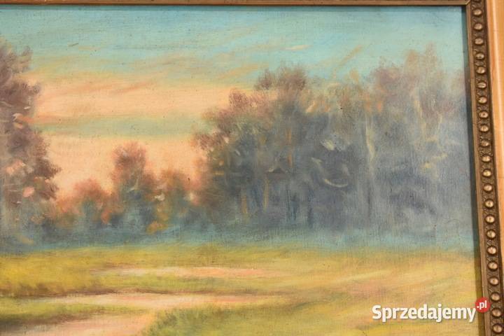 AS PROCAJŁOWICZ Pejzaż Polski Dom Rzeką w Lesie Kraków