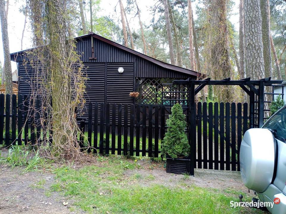 DOMEK LETNISKOWY w GRZYBOWIE koło Skoków wielkopolskie Skoki