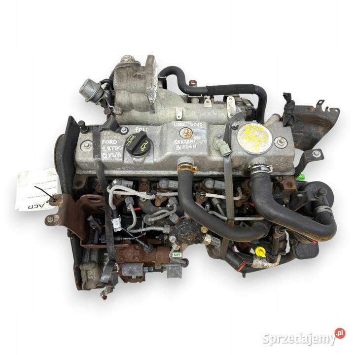 SILNIK QYWA Ford Galaxy II MK2 S S 18 TDCI 125 osobowe Chełm