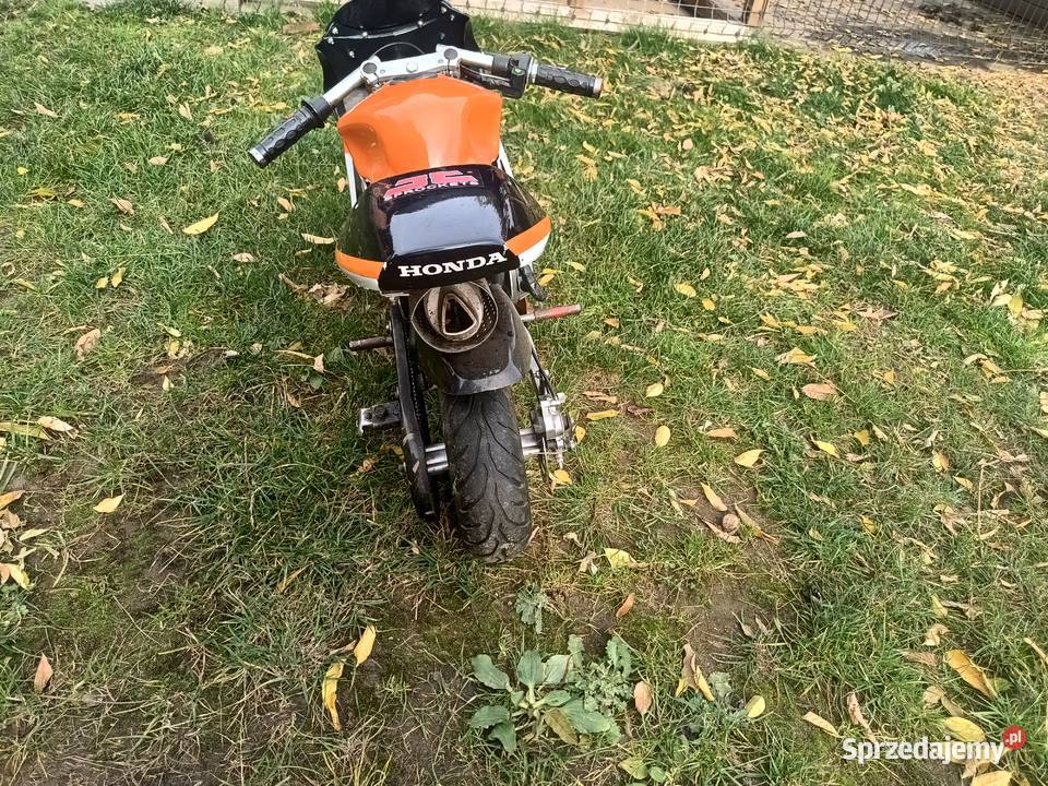 Pocket Bike mini scigacz dzieci 50cm3 Rogów