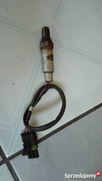 Renault 19 18 16v sonda lambda wielkopolskie Zbiersk