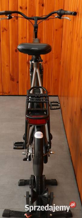 Rower damski Batavus Dins Da gH 65 I inne rowery