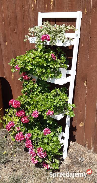 Kwietnik opierany biały brąz Rytel