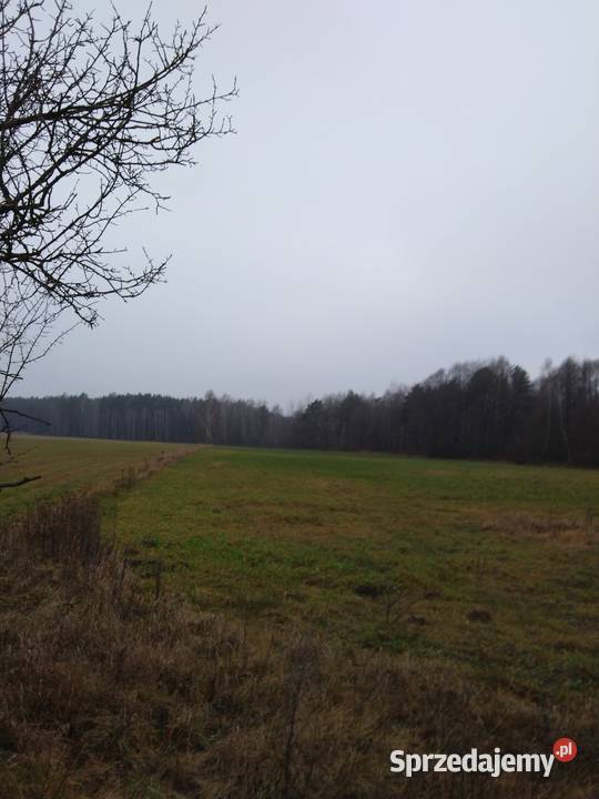 Ziemia rolna Siedlisko Działka 326 ha rolna Szostaki