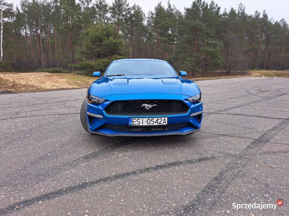 Ford Mustang 23 ecoboost 290KM Lasek sprzedam