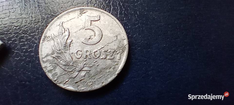 Stare monety 5 groszy 1949 PRL Polska destrukt podkarpackie Lesko sprzedam