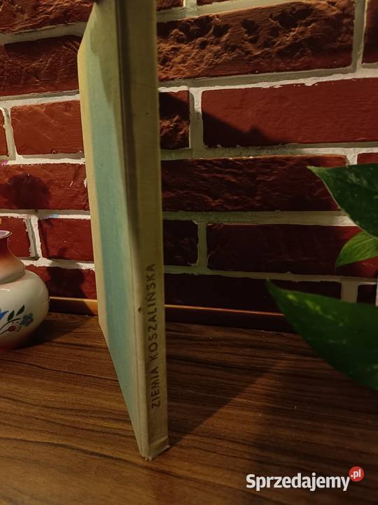 Ziemia Koszalińska Stary Unikatowy Album Lata Bydgoszcz