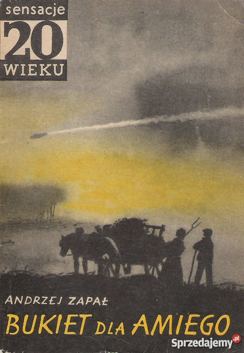 Bukiet Amiego A Zapał