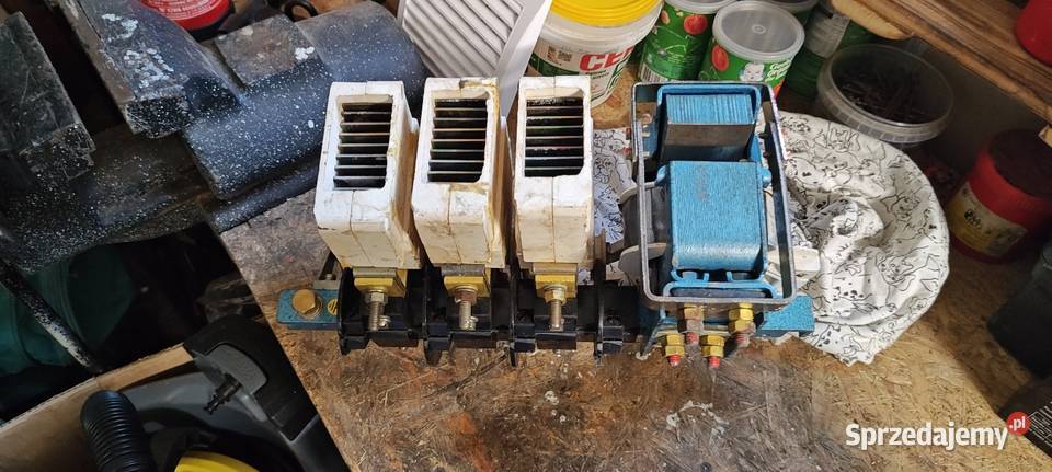 Sprzedam Styczniki mazowieckie