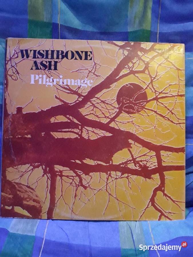 Archiwalne wykopalisk rocka WISHBONE ASH 2LP rock podkarpackie Rzeszów