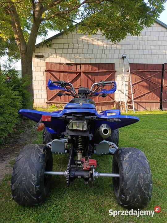 Shineray stxe 250 Chłaniówek