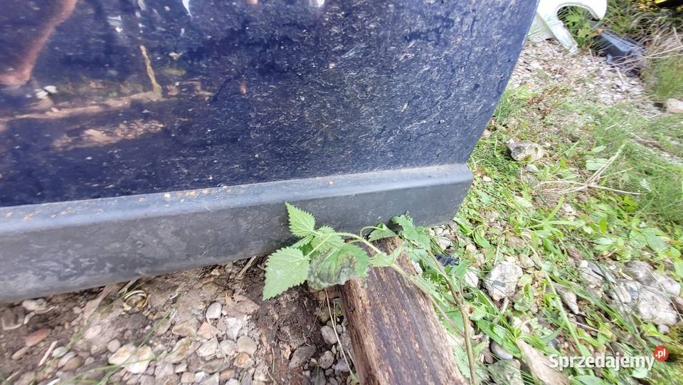 Drzwi Volkswagen Passat B5 Drzwi Łagów