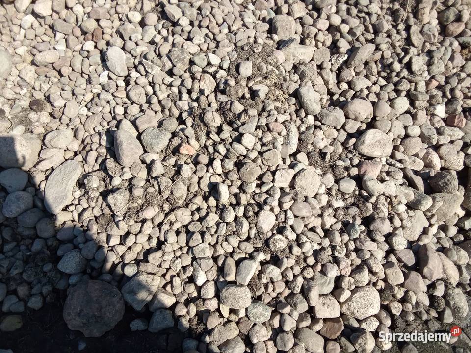 Maszyna do zbierania kamieni nieuszkodzony Krośniewice