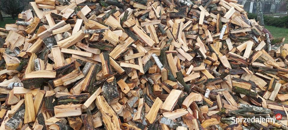 Drewno kominkowe jednoroczne 80 brzoza sprzedam
