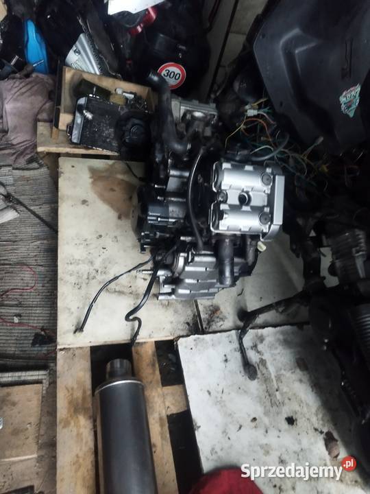 Sprzedam lubelskie Lublin