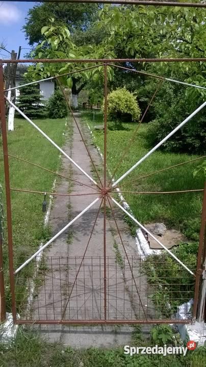 Ogródek działkowy ROD Przyszłość Grunty i działki Bytom