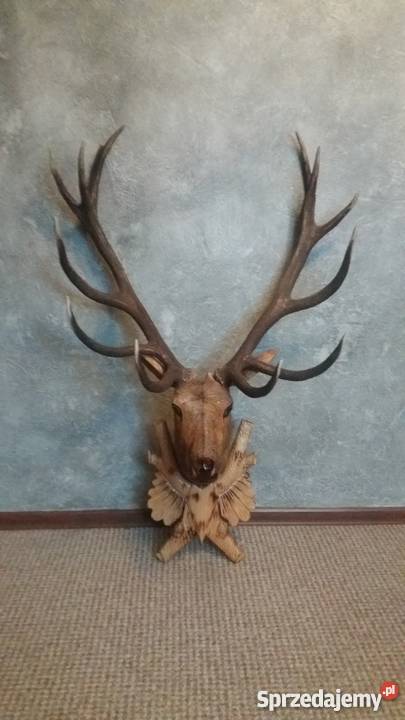 poroże z głową rzeżbioną Rękodzieło