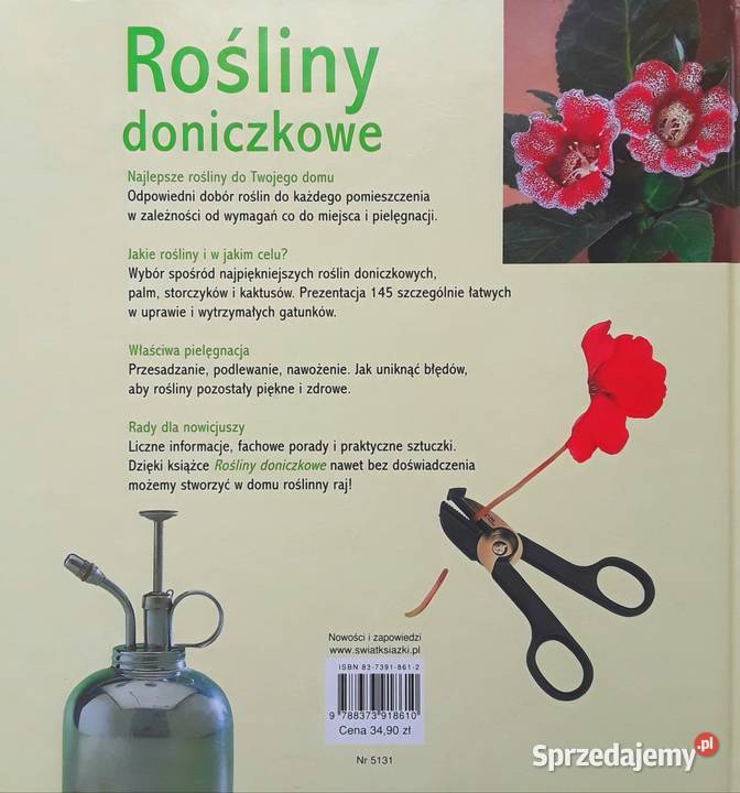 ROŚLINY DONICZKOWE Pielęgnacja porady Gorzów Wielkopolski